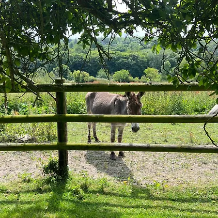 Сasa de vacaciones Maison De Charme En Normandie A 5 Mn De La