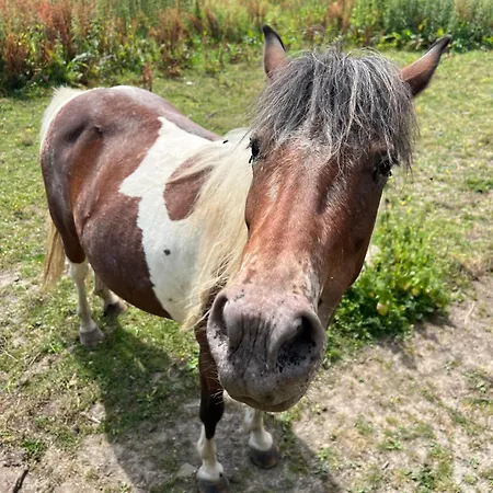 Maison De Charme En Normandie A 5 Mn De La Сasa de vacaciones *