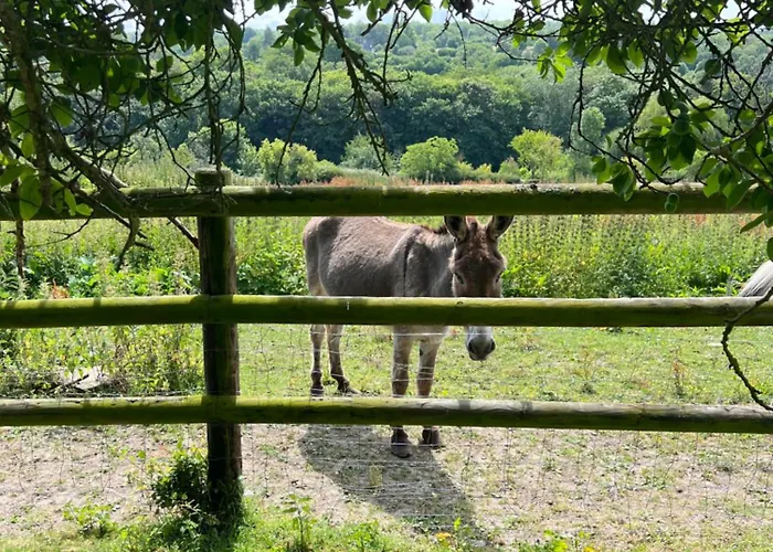 Vakantiehuis Maison De Charme En Normandie A 5 Mn De La